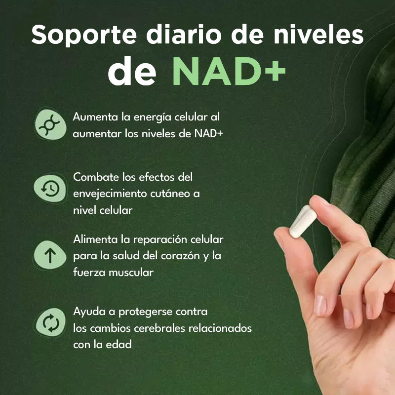 Alternativa de Suplemento NMNH Vivauna – NAD Liposomal + Resveratrol – Suministro para 30 Días – Suplemento de NAD de Alta Pureza para Energía y Envejecimiento Saludable – 60 Cápsulas